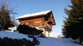 Отель Spacieux Chalet, Ле-Шапель